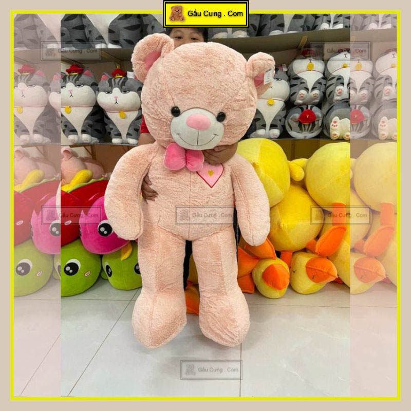 Gấu bông teddy lớn cỡ lông thỏ hồng GY0004-TED ảnh thực tế 6