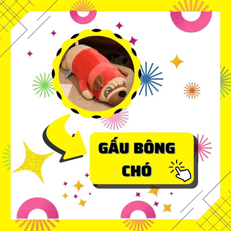 Gấu bông cho ảnh phân loại